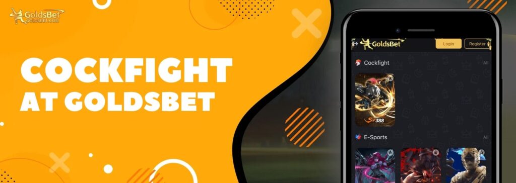 Cockfight at Goldsbet Indian gaming app info